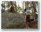 débardage en forêt de Fontainebleau