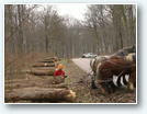 Chantier vittel