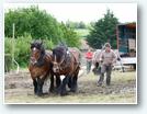 Traîne à 4 chevaux - Technique de renfort avec une paire à la pointe, une paire à la queue