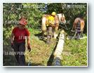 Chantier à Izeure (21)