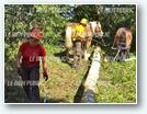 Chantier à Izeure (21)